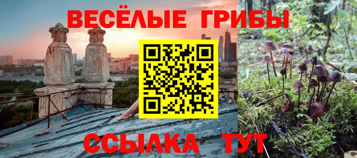 Галлюциногенные грибы мицелий Каменка