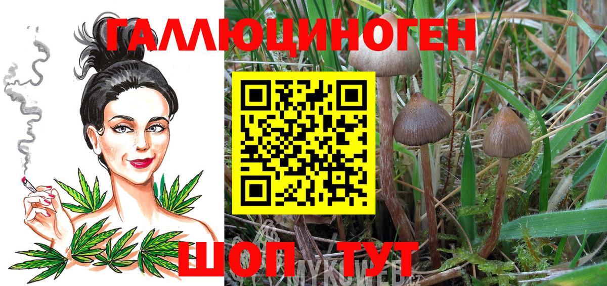 Галлюциногенные грибы MAGIC MUSHROOMS  Вход с VPN  Каменка  Псилоцибиновые грибы Magic Shrooms 