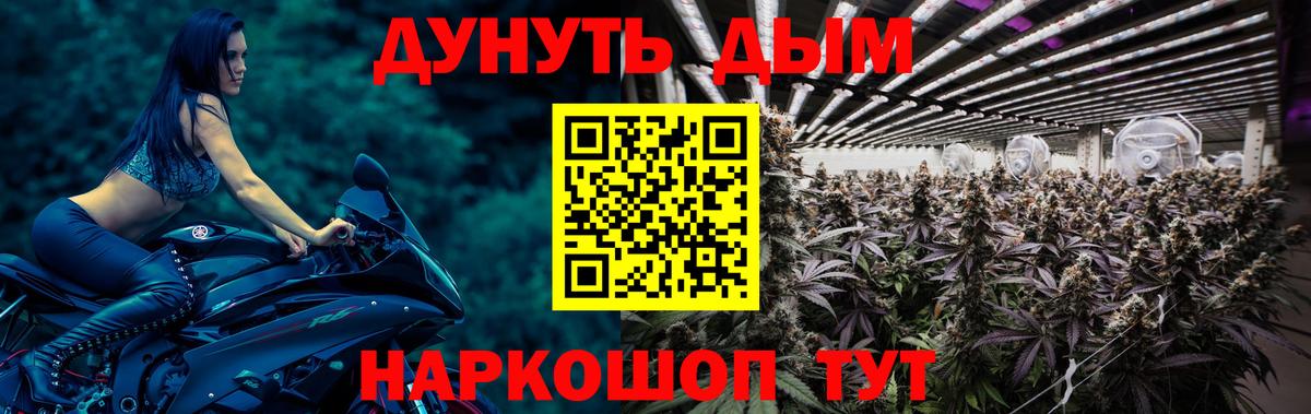 Бошки марихуана Amnesia  Конопля White Widow  Вход с VPN  Шишки марихуана марихуана  Каменка 